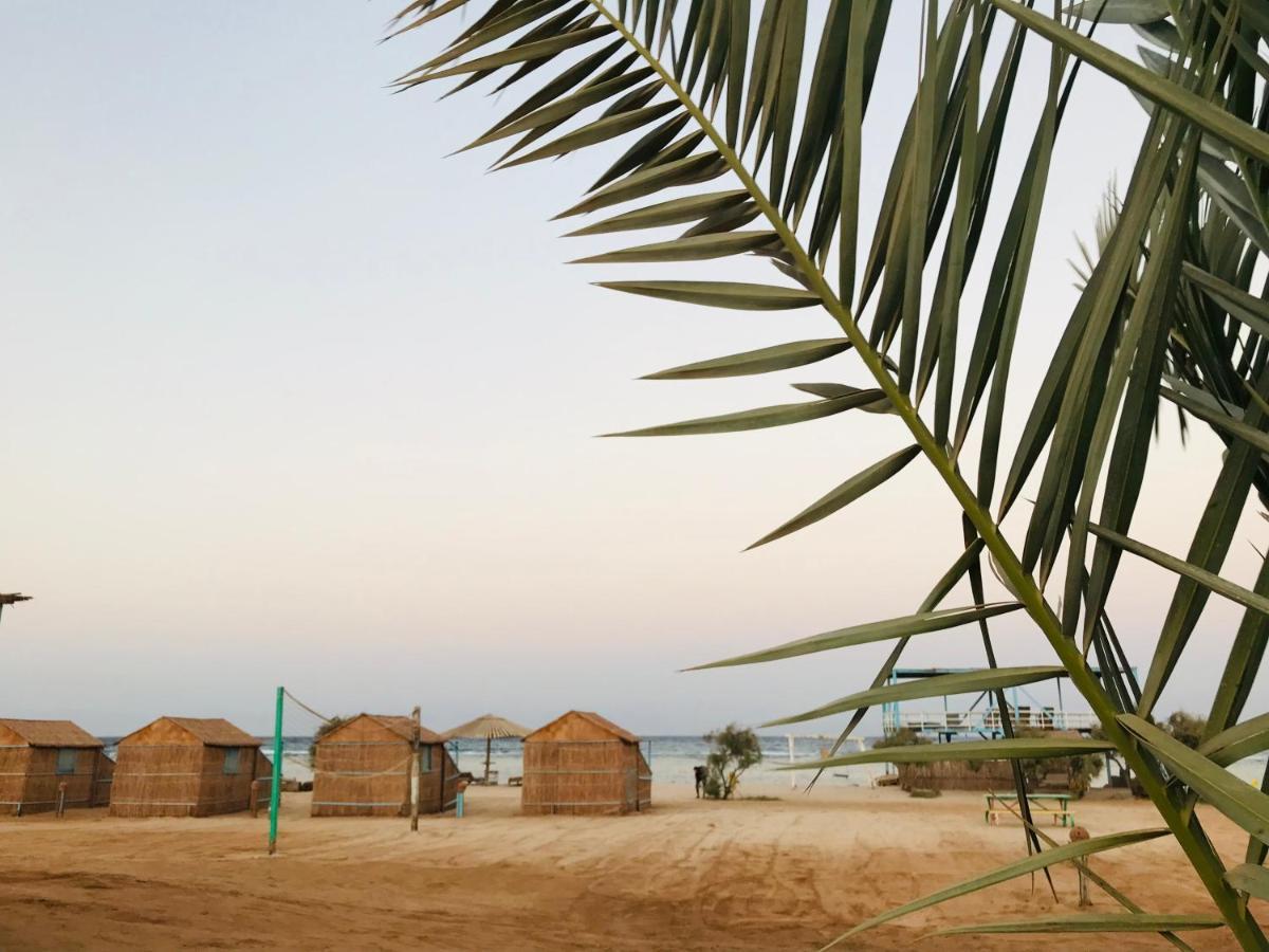 Half Moon Camp Hotel Taba Ngoại thất bức ảnh
